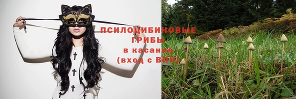 стаф Балабаново